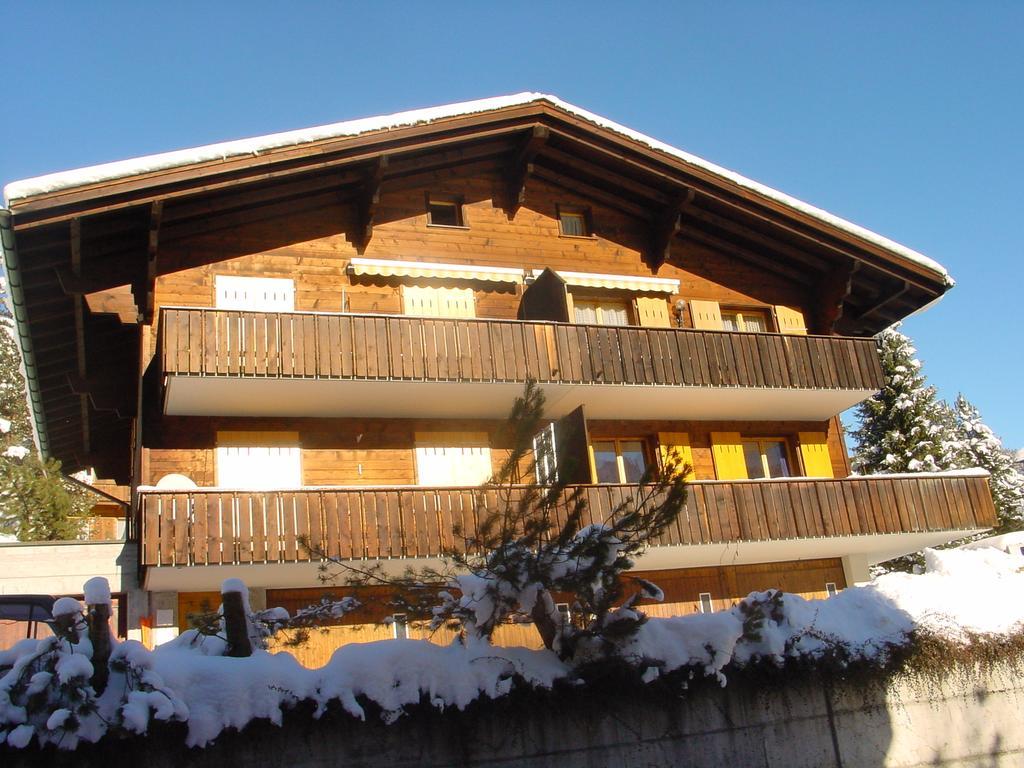Chrinnengletscher Grindelwald Ngoại thất bức ảnh