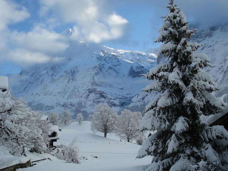 Chrinnengletscher Grindelwald Ngoại thất bức ảnh